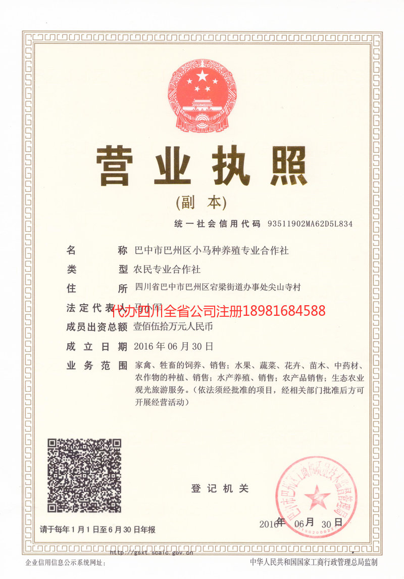 松滋松滋小马种养殖专业合作社